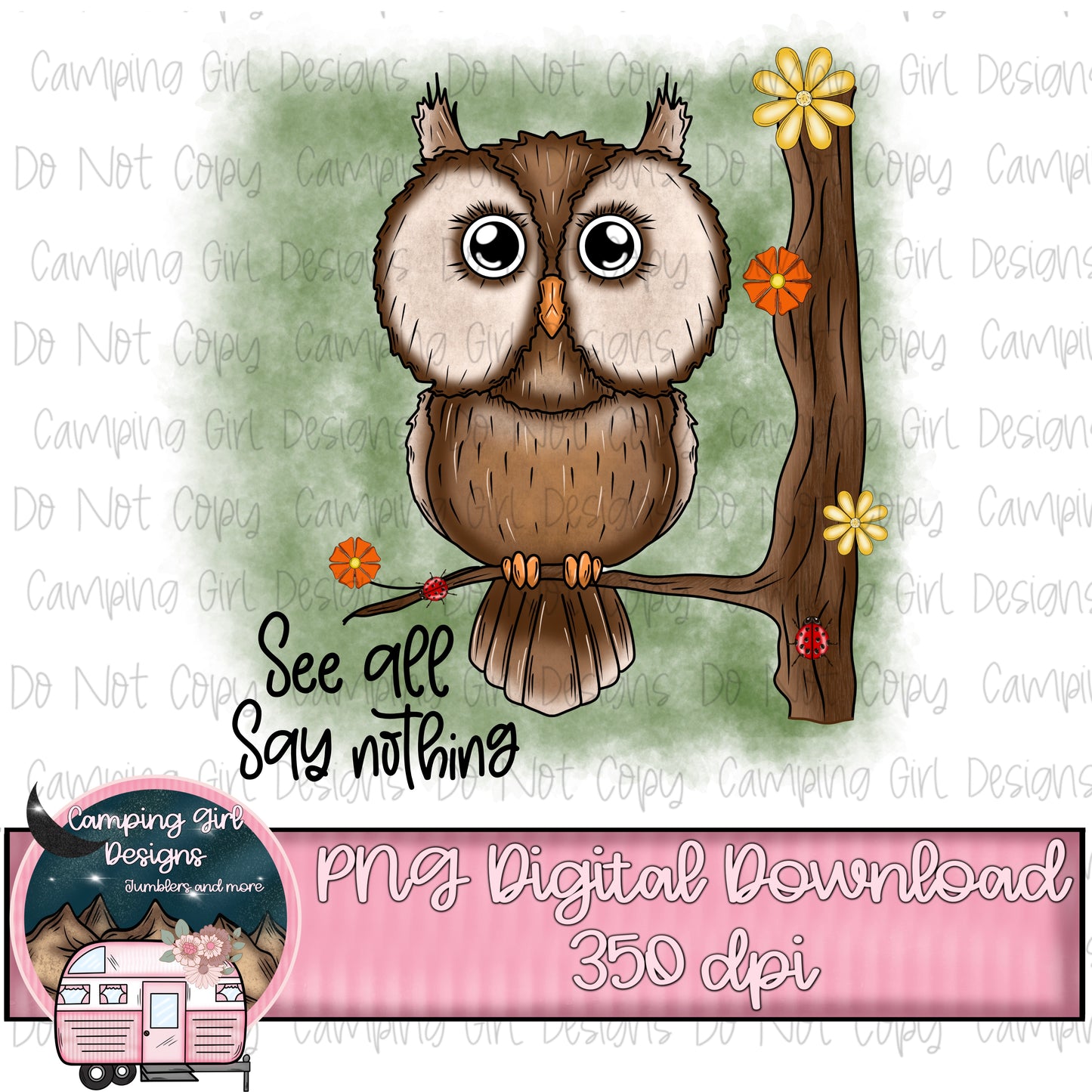 See all say nothing owl PNG image